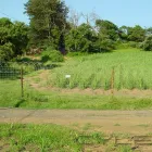 Maatskappy 10 beeld GATE AND FENCE Steel Fencing in Durban KZN