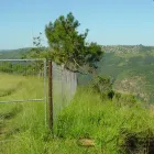 Maatskappy 20 beeld GATE AND FENCE Steel Fencing in Durban KZN