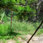 Maatskappy 40 beeld GATE AND FENCE Steel Fencing in Durban KZN