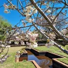 Maatskappy 1 beeld GET WELL CARING JOHANNESBURG Healthcare in Johannesburg GP