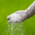 Business 2 image GRASS PRETORIA Lm Grass in Pretoria GP