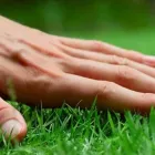 Business 3 image GRASS PRETORIA Lm Grass in Pretoria GP