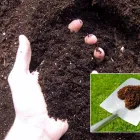 Business 4 image GRASS PRETORIA Lm Grass in Pretoria GP