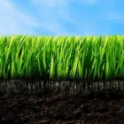 Business 5 image GRASS PRETORIA Lm Grass in Pretoria GP