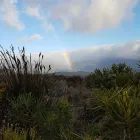 Maatskappy 4 beeld GREEN MOUNTAIN Travel Agencies in Cape Town WC