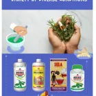 Maatskappy 2 beeld HERMANUS PHARMACY Pharmacy in Hermanus WC