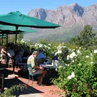 Business 1 image HILLCREST BERRIES Vegetarian in Stellenbosch WC