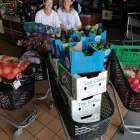 Business 2 image HOPE FOR ALL OUTREACH NPC Youth Organisations in Vanderbijlpark GP