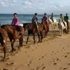 Maatskappy 6 beeld HORSEBACK BEACH ADVENTURES Riding in Durban KZN