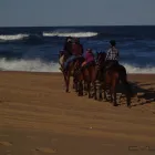 Maatskappy 10 beeld HORSEBACK BEACH ADVENTURES Riding in Durban KZN