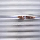 Business 1 image JSBLINDS Suppliers in Bellville WC