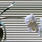 Business 3 image JSBLINDS Suppliers in Bellville WC