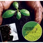 Maatskappy 4 beeld JUST GREEN LANDSCAPING Water Features in Pretoria GP