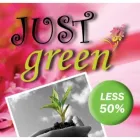 Maatskappy 5 beeld JUST GREEN LANDSCAPING Water Features in Pretoria GP