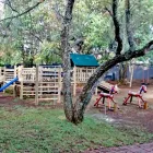 Maatskappy 6 beeld KIDBUDDIE: JUNGLE GYM AND PLAYGROUND SPECIALISTS Playground Equipment in Knysna WC