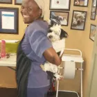 Business 5 image L E WOOF DOG GROOMING Dogs in Mokopane LP