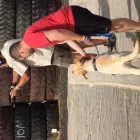 Business 7 image L E WOOF DOG GROOMING Dogs in Mokopane LP