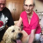 Business 11 image L E WOOF DOG GROOMING Dogs in Mokopane LP