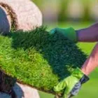 Maatskappy 1 beeld LAWNKING GARDENS® | TREE FELLING & INSTANT LAWN RANDBURG Tree Felling Or Stump Removal in Randburg GP