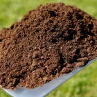 Maatskappy 3 beeld LAWNKING GARDENS® | TREE FELLING & INSTANT LAWN RANDBURG Tree Felling Or Stump Removal in Randburg GP