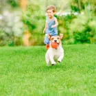 Maatskappy 4 beeld LAWNKING GARDENS® | TREE FELLING & INSTANT LAWN RANDBURG Tree Felling Or Stump Removal in Randburg GP