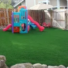 Maatskappy 6 beeld LAWNKING GARDENS® | TREE FELLING & INSTANT LAWN RANDBURG Tree Felling Or Stump Removal in Randburg GP