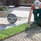 Maatskappy 8 beeld LAWNKING GARDENS® | TREE FELLING & INSTANT LAWN RANDBURG Tree Felling Or Stump Removal in Randburg GP