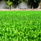 Maatskappy 16 beeld LAWNKING GARDENS® | TREE FELLING & INSTANT LAWN RANDBURG Tree Felling Or Stump Removal in Randburg GP