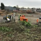 Maatskappy 18 beeld LAWNKING GARDENS® | TREE FELLING & INSTANT LAWN RANDBURG Tree Felling Or Stump Removal in Randburg GP