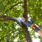 Maatskappy 19 beeld LAWNKING GARDENS® | TREE FELLING & INSTANT LAWN RANDBURG Tree Felling Or Stump Removal in Randburg GP