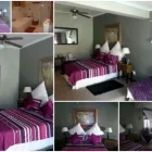 Maatskappy 3 beeld LEMON TREE LODGE - GUEST COTTAGES Venue in Parys FS