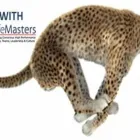 Business 6 image LIFEMASTERS Team Building in Sandton GP