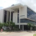 Business 2 image LIVEX SOFTWARE Website Hosting in Pretoria GP