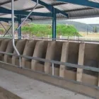 Maatskappy 11 beeld LURIWARE (PTY) LTD CONSULTING AGRICULTURAL ENGINEERS Livestock Housing Designers in Pretoria GP