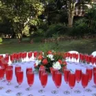 Business 3 image MACNUT FARM WEDDING & FUNCTION VENUE Weddings in Durban KZN