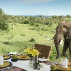 Maatskappy 5 beeld MADIKWE SAFARI SOUTH AFRICA-THE ROYAL MADIKWE Safaris in Zeerust NW