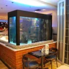 Business 2 image MARINE MANAGEMENT AQUARIUMS Sandton in Johannesburg GP