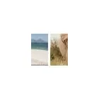 Maatskappy 6 beeld MINT PRODUCTIONS & DESTINATIONS Videos in Cape Town WC