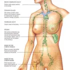 Business 12 image MOBILE MASSAGE SERVICE - DURBAN Wellness Days in Durban KZN