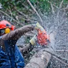 Maatskappy 4 beeld NEW BREEZE GARDEN SERVICES Yard Clean UPS in Jeffreys Bay EC