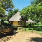 Business 4 image NHONGO SAFARIS Safari in Kruger Park in Johannesburg GP