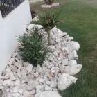 Business 4 image ONTIME DRC PROJECTS Tree Felling in Roodepoort GP