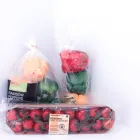 Maatskappy 17 beeld PACKAGING WORLD Packaging Mfrs in Pinetown KZN