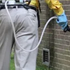 Business 2 image PEST CONTROL PROS (PTY) LTD Termites in Pretoria GP