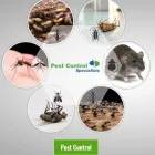Business 3 image PEST CONTROL SPECIALISTS (TZANEEN) Tzaneen Pest control services specialists in Tzaneen ZAF