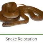 Business 4 image PEST CONTROL SPECIALISTS (TZANEEN) Tzaneen Pest control services specialists in Tzaneen ZAF