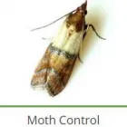 Business 5 image PEST CONTROL SPECIALISTS (TZANEEN) Tzaneen Pest control services specialists in Tzaneen ZAF