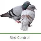 Business 8 image PEST CONTROL SPECIALISTS (TZANEEN) Tzaneen Pest control services specialists in Tzaneen ZAF