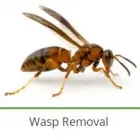 Business 11 image PEST CONTROL SPECIALISTS (TZANEEN) Tzaneen Pest control services specialists in Tzaneen ZAF