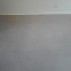 Maatskappy 1 beeld PINKY & THE STAIN PROFESSIONAL CARPET CLEANERS Upholstery cleaners in KZN in Port Elizabeth EC